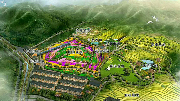 史總：一個DIY釀酒項目一年就賺了100多萬，我做了對的選擇！